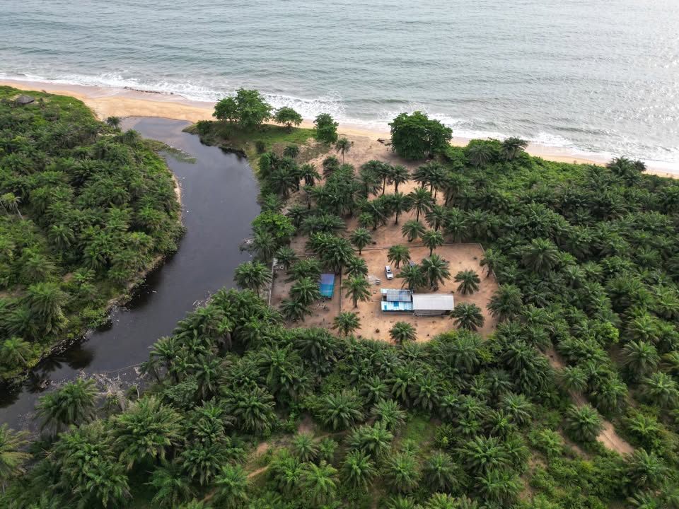 Aerial view of the pilot site between the river mouth and the beach